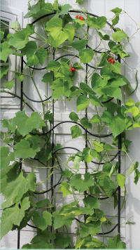 Wrought Iron Plant Stand with Copper  Planter Containe